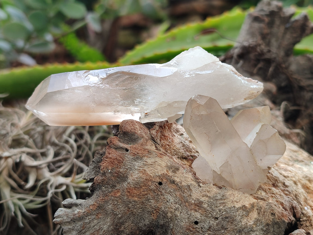 Natural Quartz Clusters x 35 From Madagascar - Toprock Gemstones and Minerals 