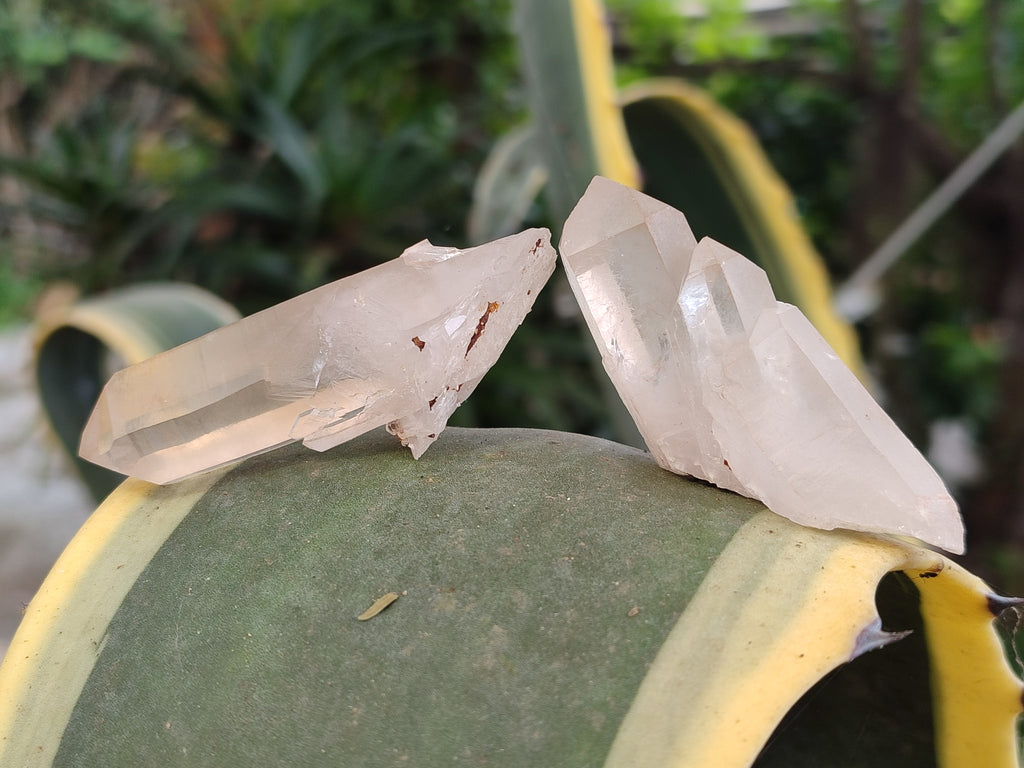 Natural Quartz Clusters x 35 From Madagascar - Toprock Gemstones and Minerals 