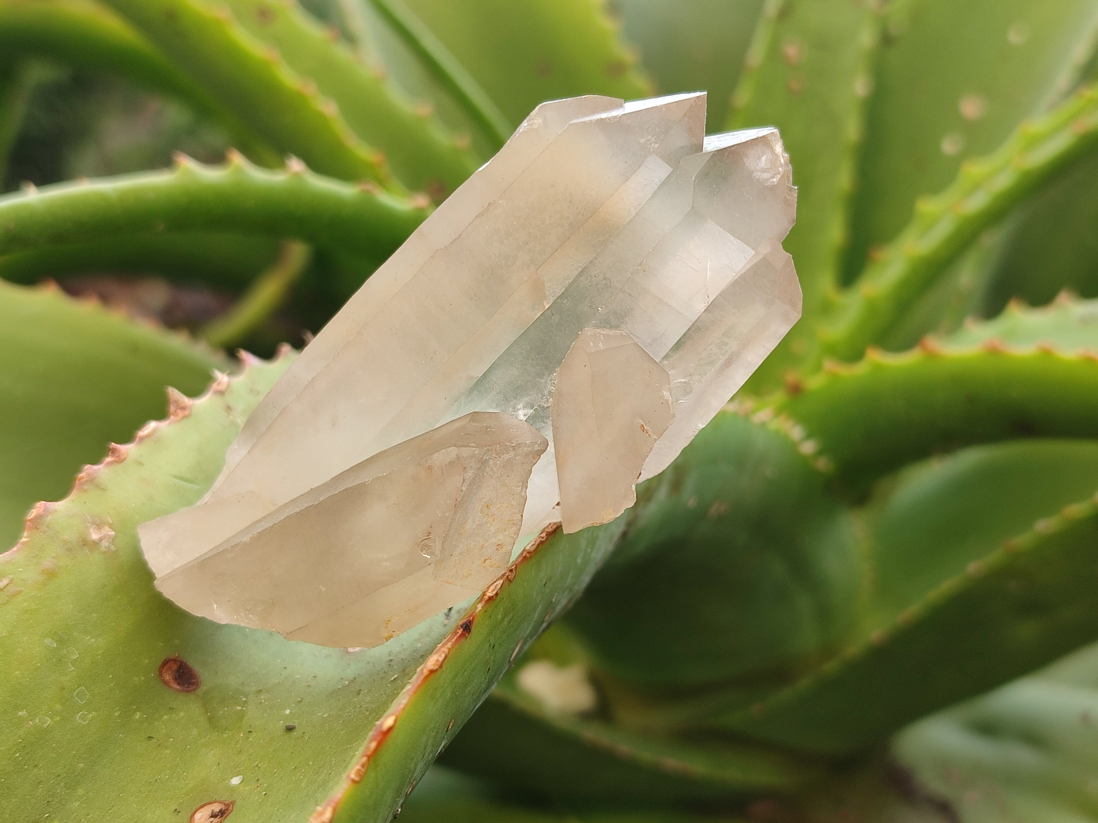 Natural Quartz Clusters x 35 From Madagascar - Toprock Gemstones and Minerals 