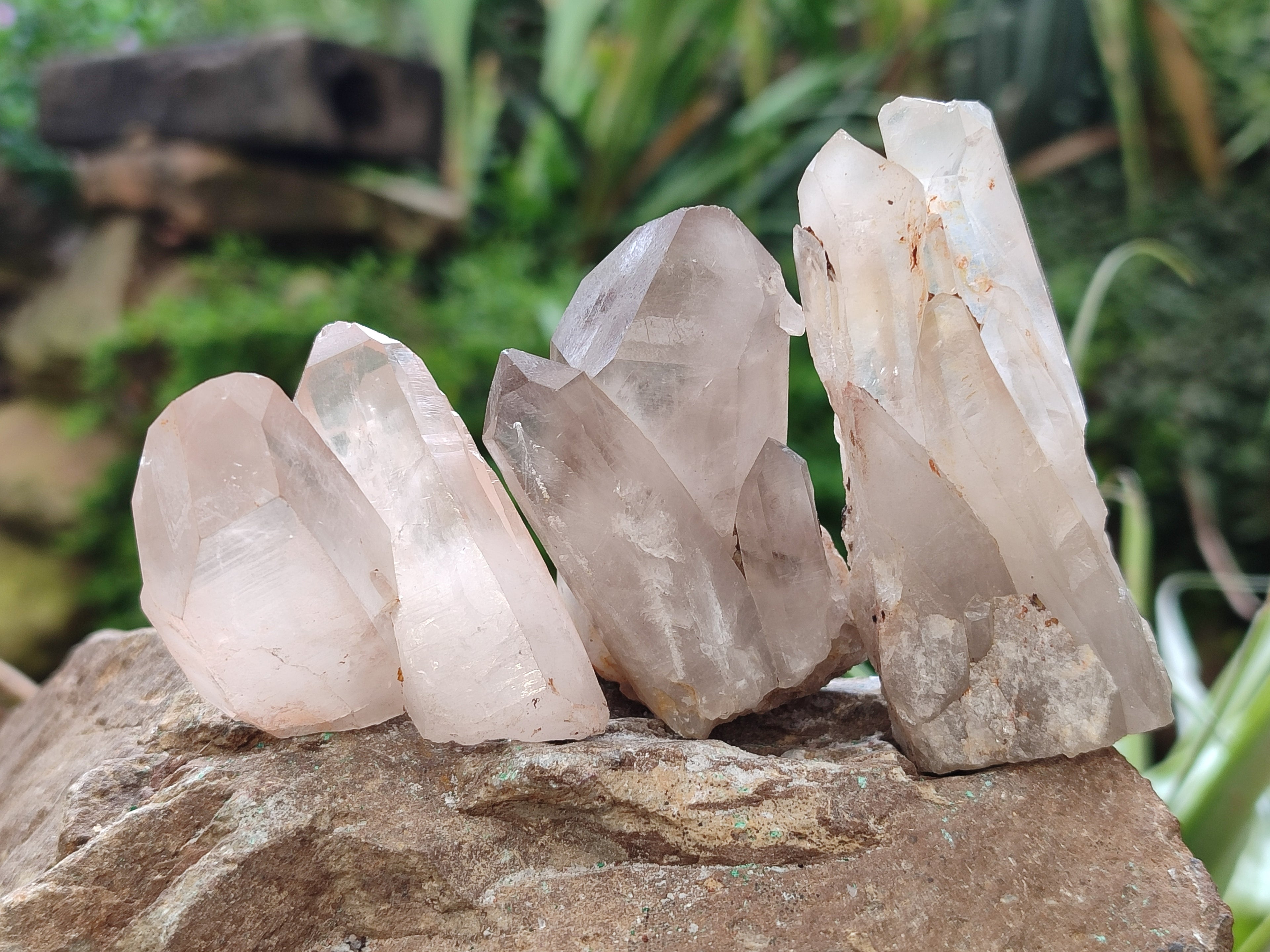 Natural Quartz Clusters x 35 From Madagascar - Toprock Gemstones and Minerals 