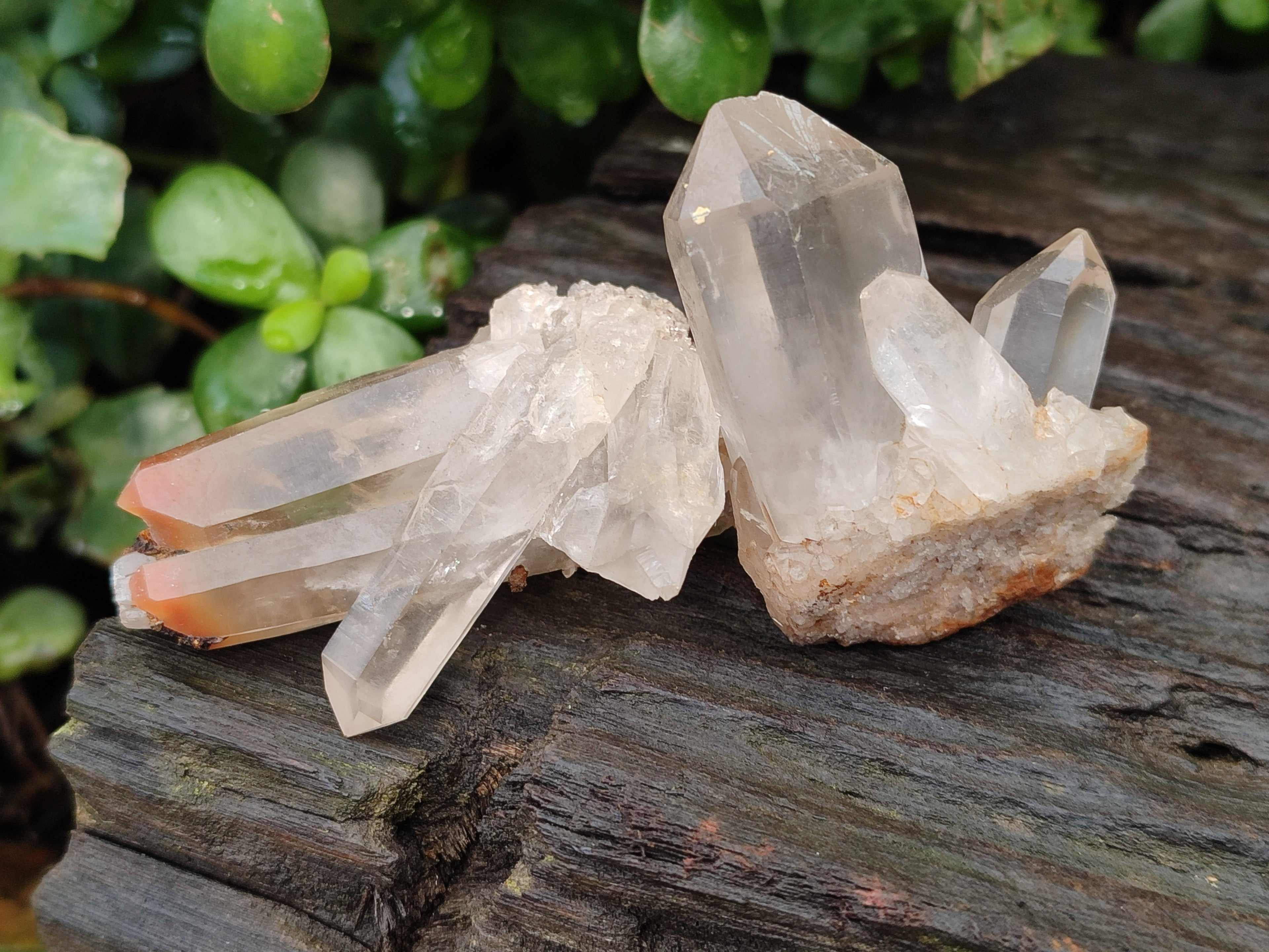 Natural Quartz Clusters x 35 From Madagascar - Toprock Gemstones and Minerals 