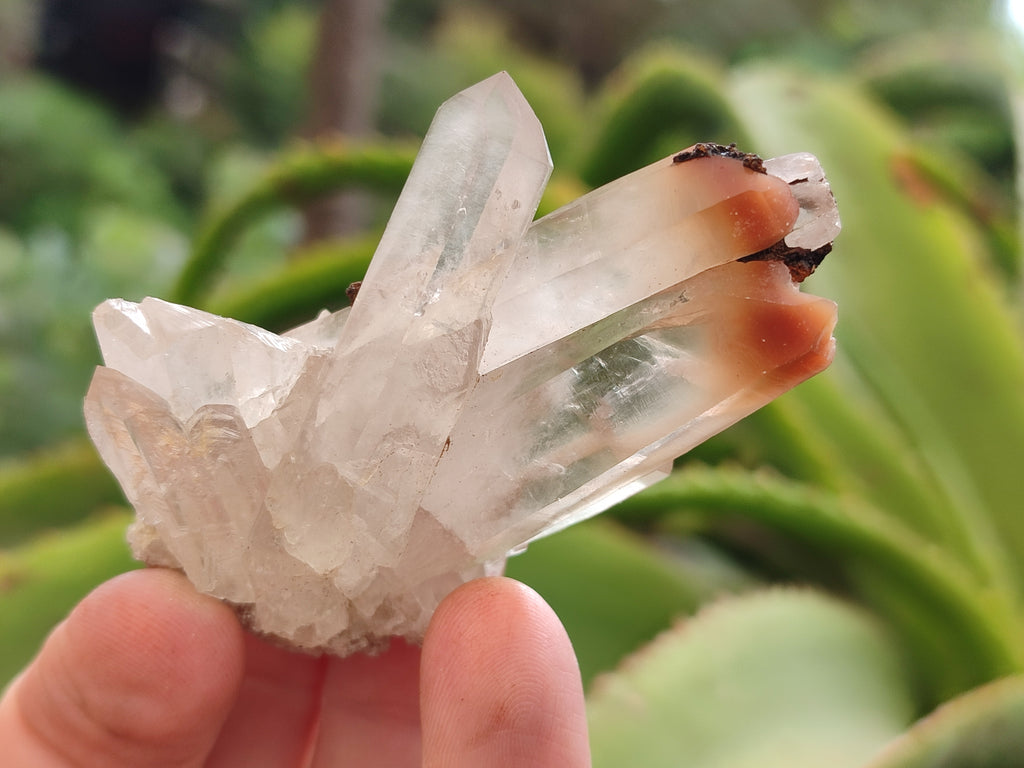 Natural Quartz Clusters x 35 From Madagascar - Toprock Gemstones and Minerals 