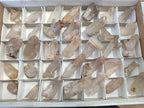 Natural Quartz Clusters x 35 From Madagascar - Toprock Gemstones and Minerals 