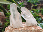 Natural Quartz Clusters x 35 From Madagascar - Toprock Gemstones and Minerals 