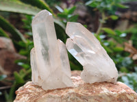 Natural Quartz Clusters x 35 From Madagascar