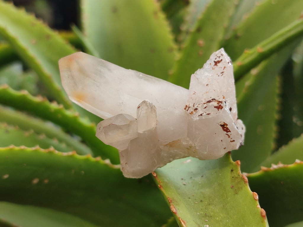 Natural Quartz Clusters x 35 From Madagascar - Toprock Gemstones and Minerals 