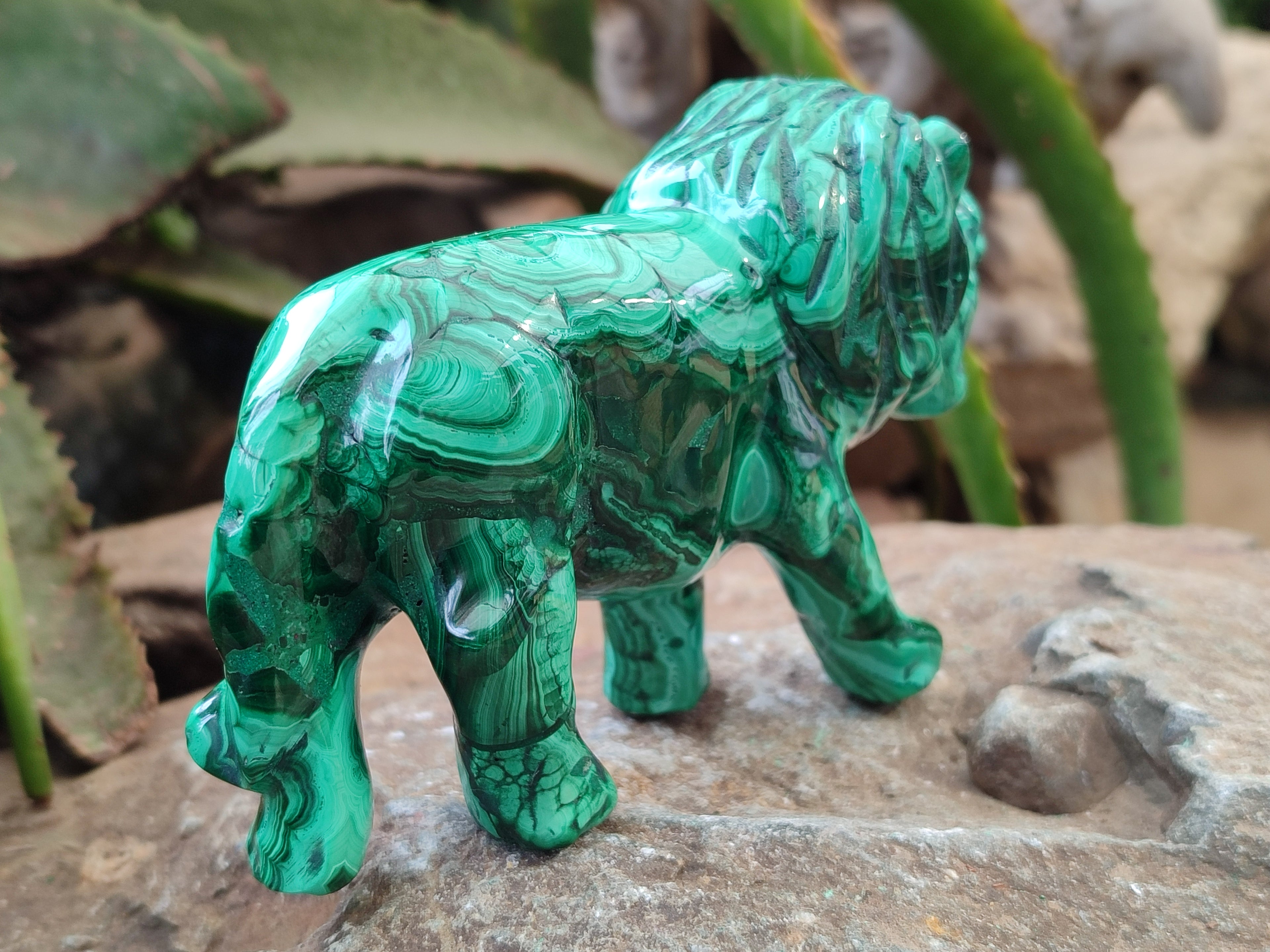 Polished Flower Banded Malachite Lions x 2 From Congo - Toprock Gemstones and Minerals 