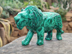 Polished Flower Banded Malachite Lions x 2 From Congo - Toprock Gemstones and Minerals 