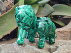 Polished Flower Banded Malachite Lions x 2 From Congo - Toprock Gemstones and Minerals 