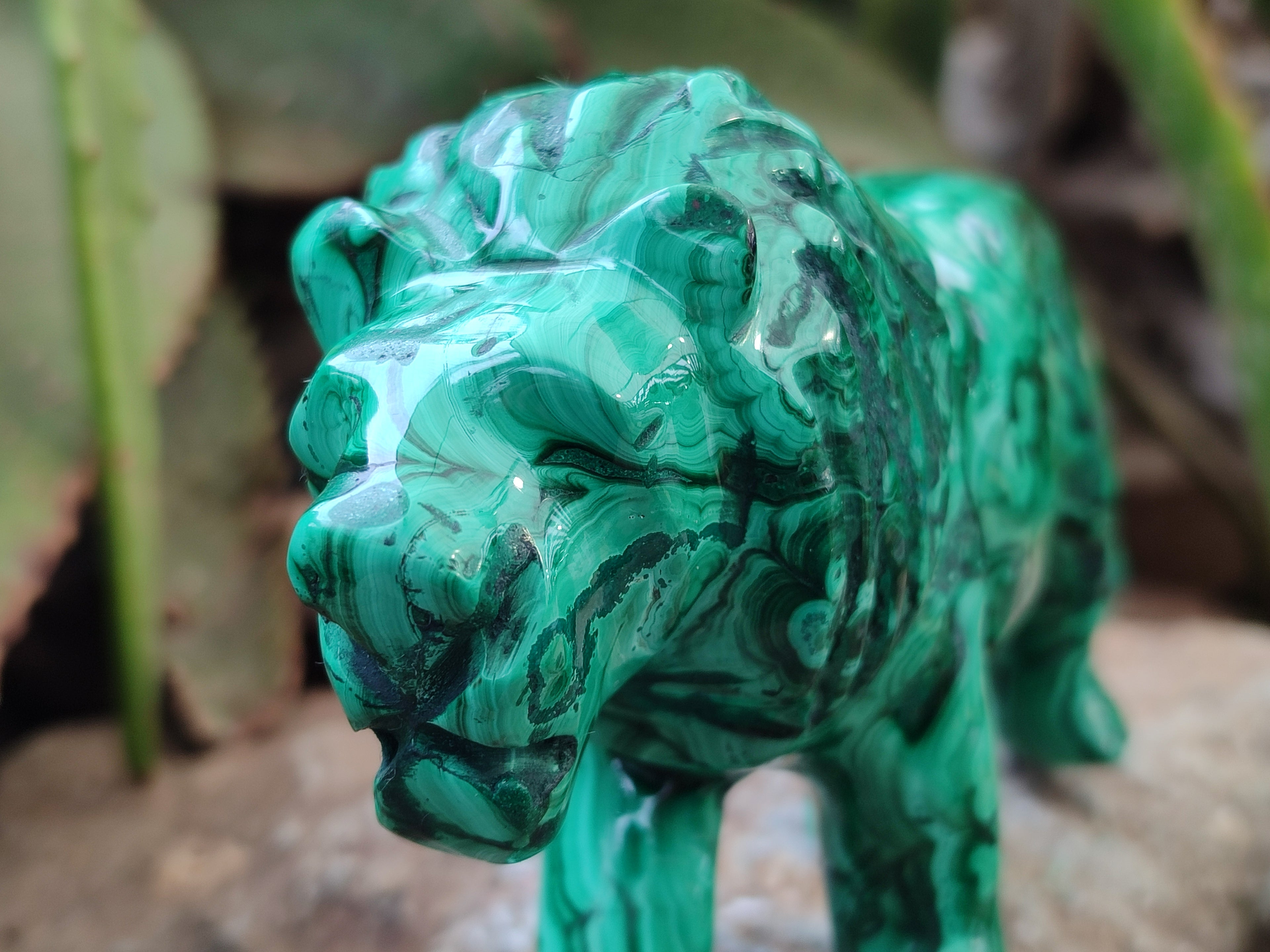 Polished Flower Banded Malachite Lions x 2 From Congo - Toprock Gemstones and Minerals 