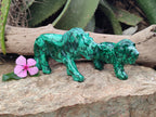 Polished Flower Banded Malachite Lions x 2 From Congo - Toprock Gemstones and Minerals 