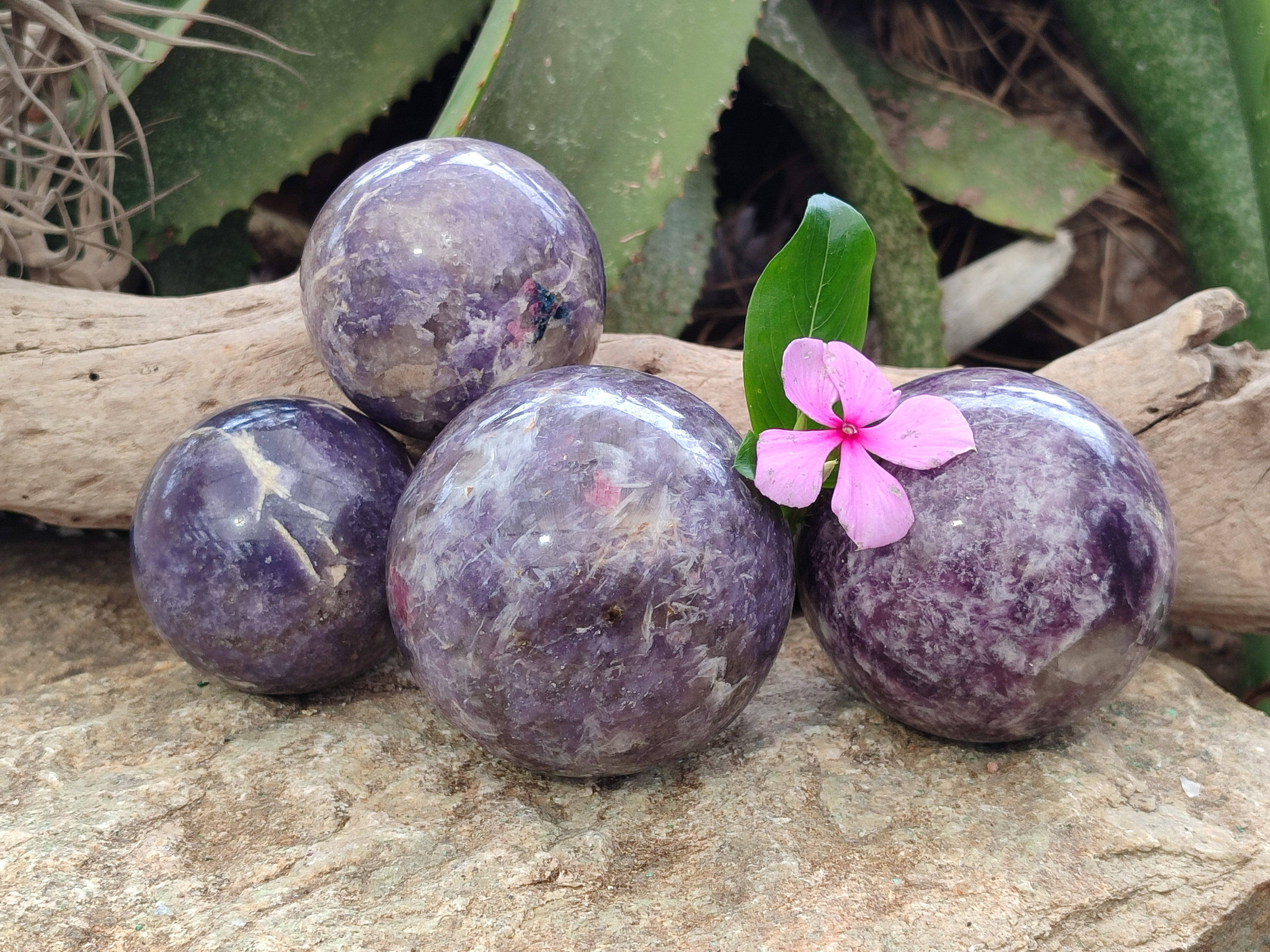 Polished Lepidolite with Pink Rubellite Spheres x 4 From Ambatondrazaka, Madagascar - Toprock Gemstones and Minerals 