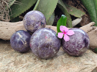 Polished Lepidolite with Pink Rubellite Spheres x 4 From Ambatondrazaka, Madagascar