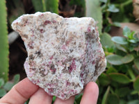 Natural Pink Rubellite Tourmaline x 12 From Karibib, Namibia - Toprock Gemstones and Minerals 