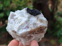 Natural Pink Rubellite Tourmaline x 12 From Karibib, Namibia - Toprock Gemstones and Minerals 