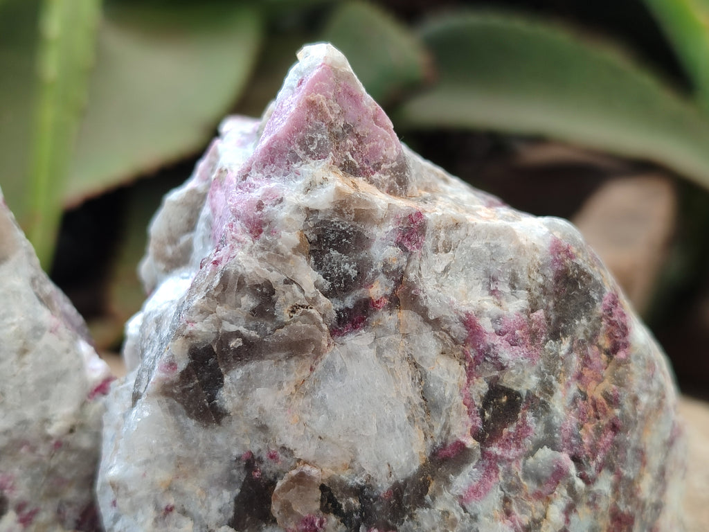 Natural Pink Rubellite Tourmaline x 12 From Karibib, Namibia - Toprock Gemstones and Minerals 