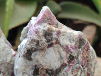 Natural Pink Rubellite Tourmaline x 12 From Karibib, Namibia - Toprock Gemstones and Minerals 