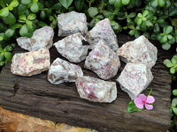 Natural Pink Rubellite Tourmaline x 12 From Karibib, Namibia - Toprock Gemstones and Minerals 