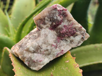Natural Pink Rubellite Tourmaline x 12 From Karibib, Namibia - Toprock Gemstones and Minerals 