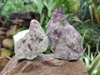Natural Pink Rubellite Tourmaline x 12 From Karibib, Namibia - Toprock Gemstones and Minerals 