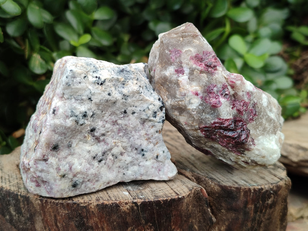 Natural Pink Rubellite Tourmaline x 12 From Karibib, Namibia - Toprock Gemstones and Minerals 