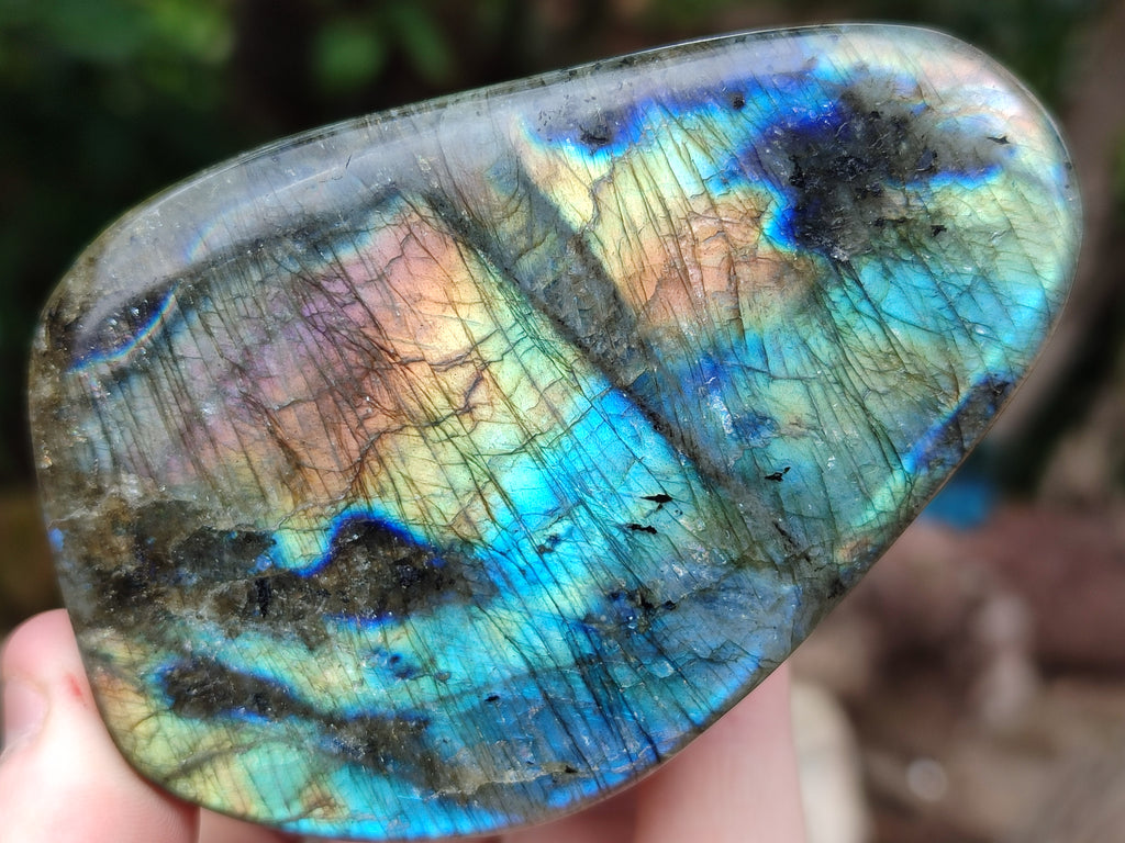 Polished Labradorite Standing Free Forms x 4 From Tulear, Madagascar - Toprock Gemstones and Minerals 