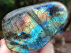 Polished Labradorite Standing Free Forms x 4 From Tulear, Madagascar - Toprock Gemstones and Minerals 