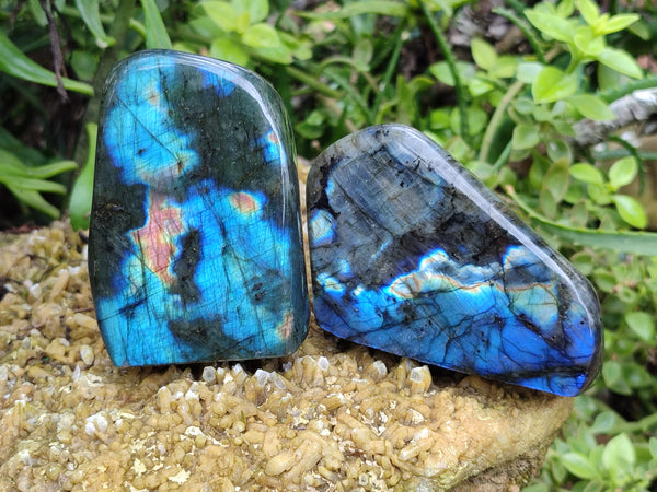 Polished Labradorite Standing Free Forms x 4 From Tulear, Madagascar