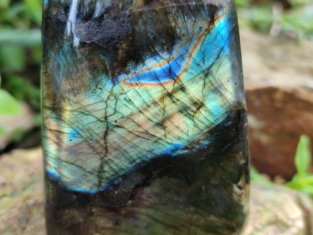 Polished Labradorite Standing Free Forms x 4 From Tulear, Madagascar - Toprock Gemstones and Minerals 