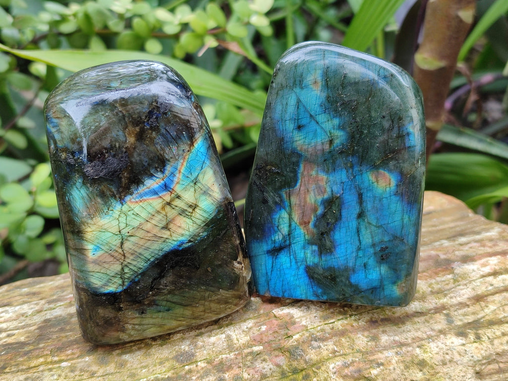 Polished Labradorite Standing Free Forms x 4 From Tulear, Madagascar - Toprock Gemstones and Minerals 