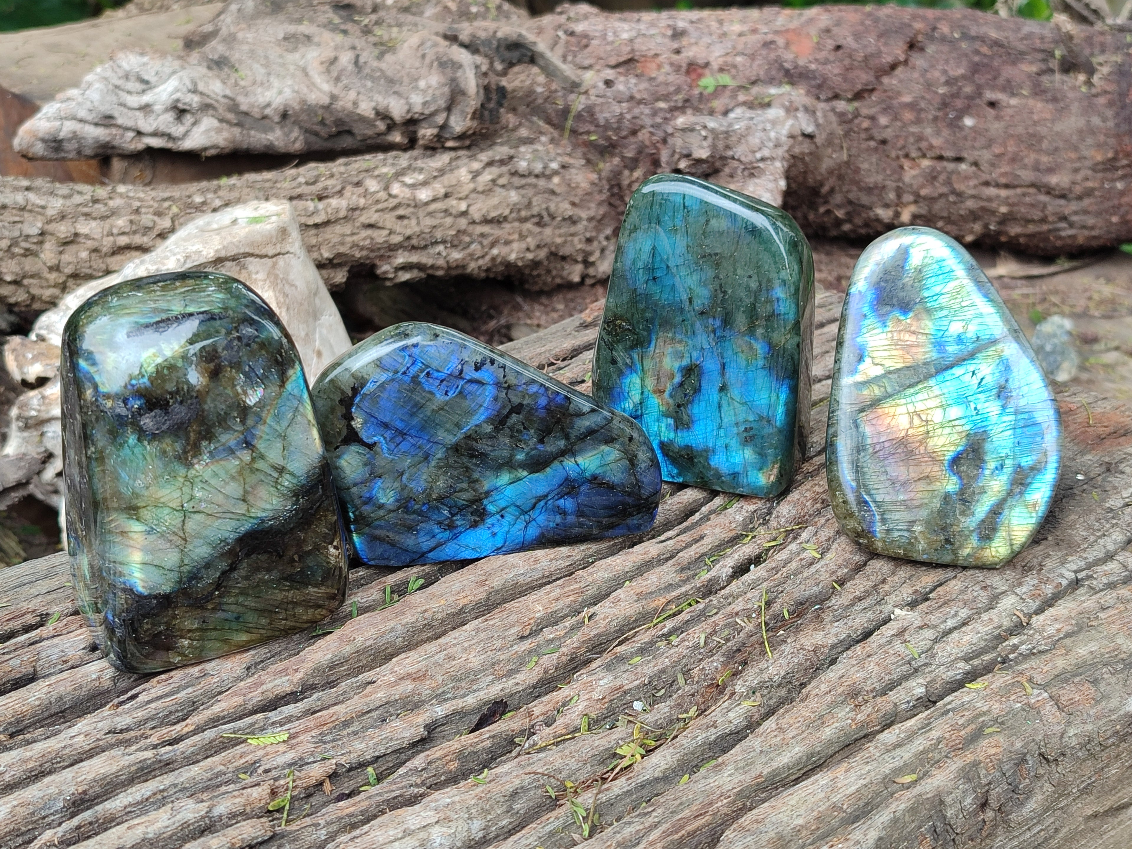 Polished Labradorite Standing Free Forms x 4 From Tulear, Madagascar - Toprock Gemstones and Minerals 