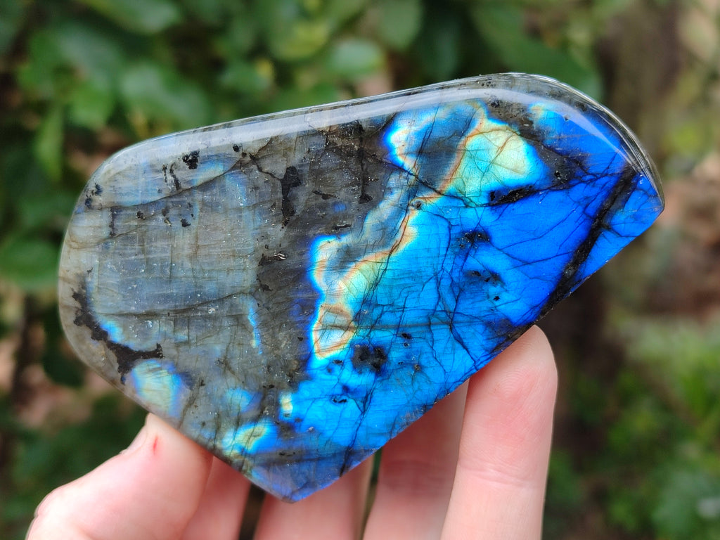 Polished Labradorite Standing Free Forms x 4 From Tulear, Madagascar - Toprock Gemstones and Minerals 