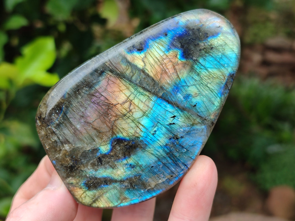 Polished Labradorite Standing Free Forms x 4 From Tulear, Madagascar - Toprock Gemstones and Minerals 