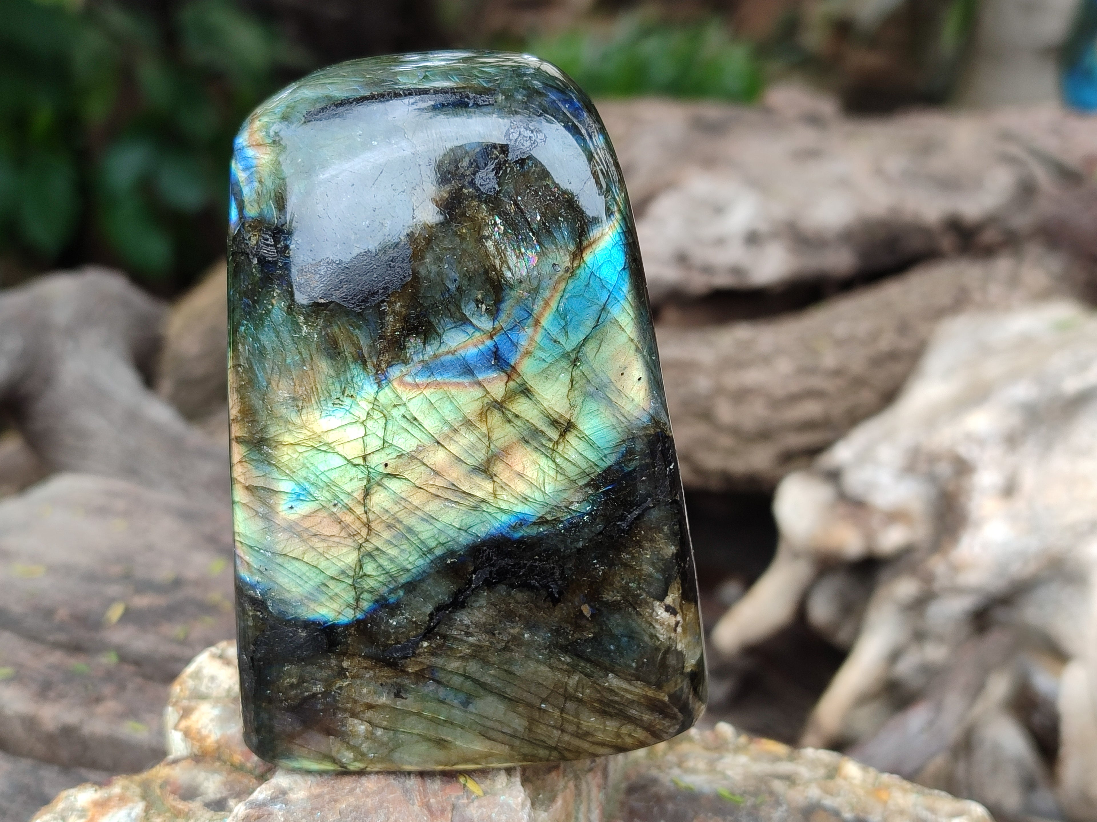 Polished Labradorite Standing Free Forms x 4 From Tulear, Madagascar - Toprock Gemstones and Minerals 