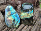 Polished Labradorite Standing Free Forms x 4 From Tulear, Madagascar - Toprock Gemstones and Minerals 