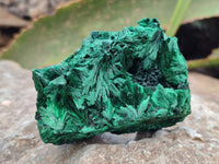 Natural Silky Malachite Specimens x 6 From Kasompe, Congo - Toprock Gemstones and Minerals 