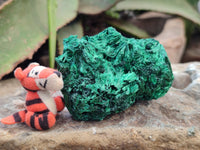 Natural Silky Malachite Specimens x 6 From Kasompe, Congo - Toprock Gemstones and Minerals 