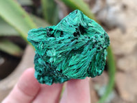 Natural Silky Malachite Specimens x 6 From Kasompe, Congo - Toprock Gemstones and Minerals 