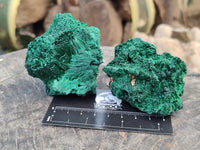 Natural Silky Malachite Specimens x 6 From Kasompe, Congo - Toprock Gemstones and Minerals 