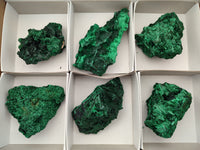 Natural Silky Malachite Specimens x 6 From Kasompe, Congo - Toprock Gemstones and Minerals 