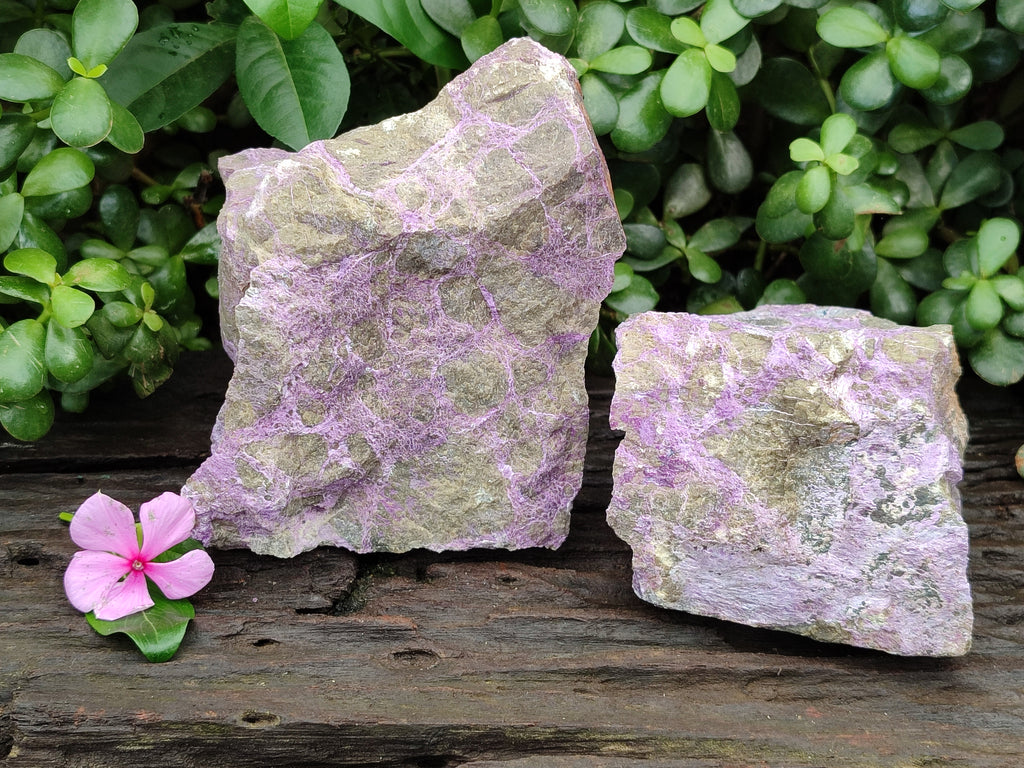 Natural Stichtite Cobbed Specimens x 2 From Barberton, South Africa - Toprock Gemstones and Minerals 