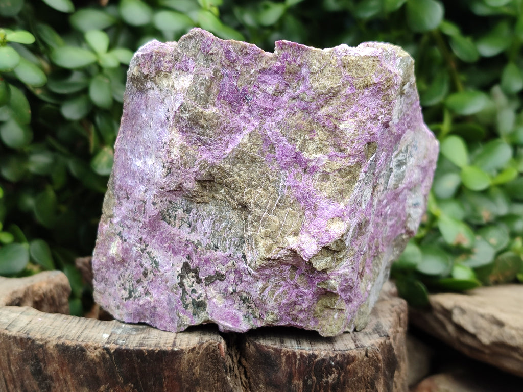 Natural Stichtite Cobbed Specimens x 2 From Barberton, South Africa - Toprock Gemstones and Minerals 
