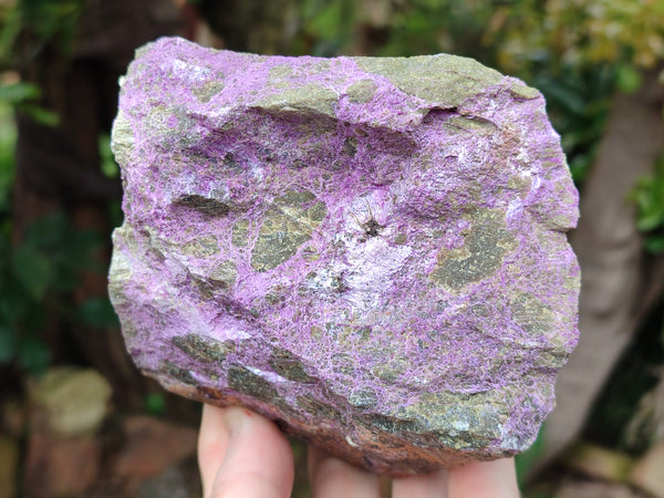 Natural Stichtite Cobbed Specimens x 2 From Barberton, South Africa