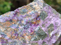 Natural Stichtite Cobbed Specimens x 2 From Barberton, South Africa