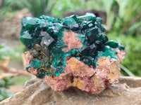 Natural Dioptase Cabinet Specimen x 1 From Likasi, Congo