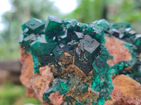 Natural Dioptase Cabinet Specimen x 1 From Likasi, Congo
