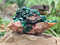 Natural Dioptase Cabinet Specimen x 1 From Likasi, Congo