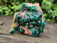 Natural Dioptase Cabinet Specimen x 1 From Likasi, Congo