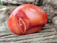 Polished Carnelian Palm Stones x 12 From Madagascar