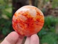 Polished Carnelian Palm Stones x 12 From Madagascar